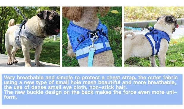 Adjustable Reflective Dog Vest