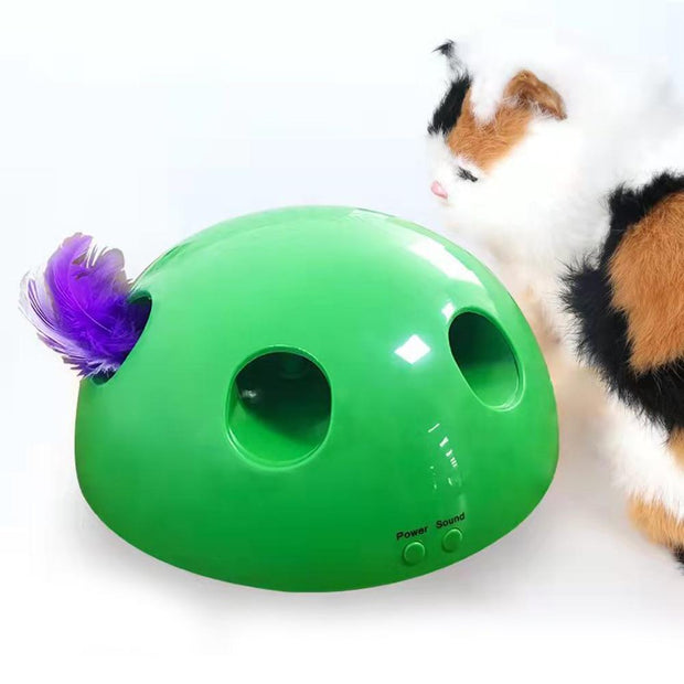 Electric Pet Cat Traning Toy