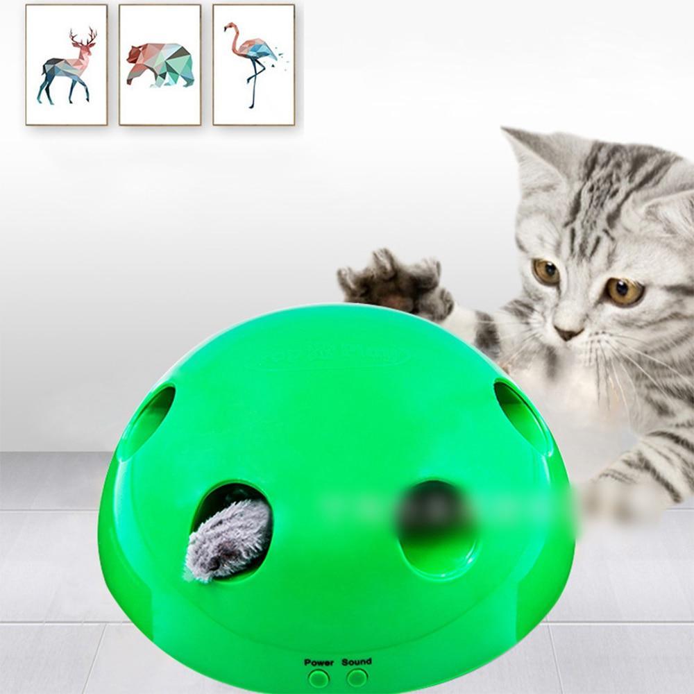 Electric Pet Cat Traning Toy