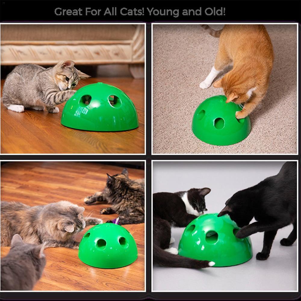 Electric Pet Cat Traning Toy