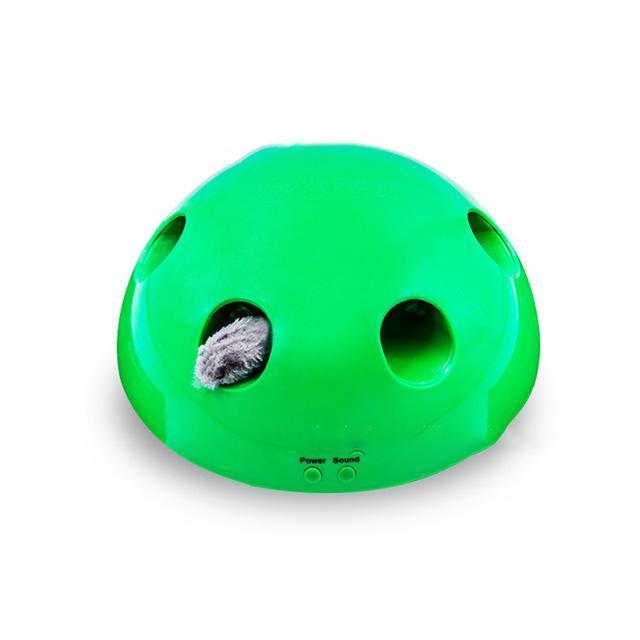 Electric Pet Cat Traning Toy