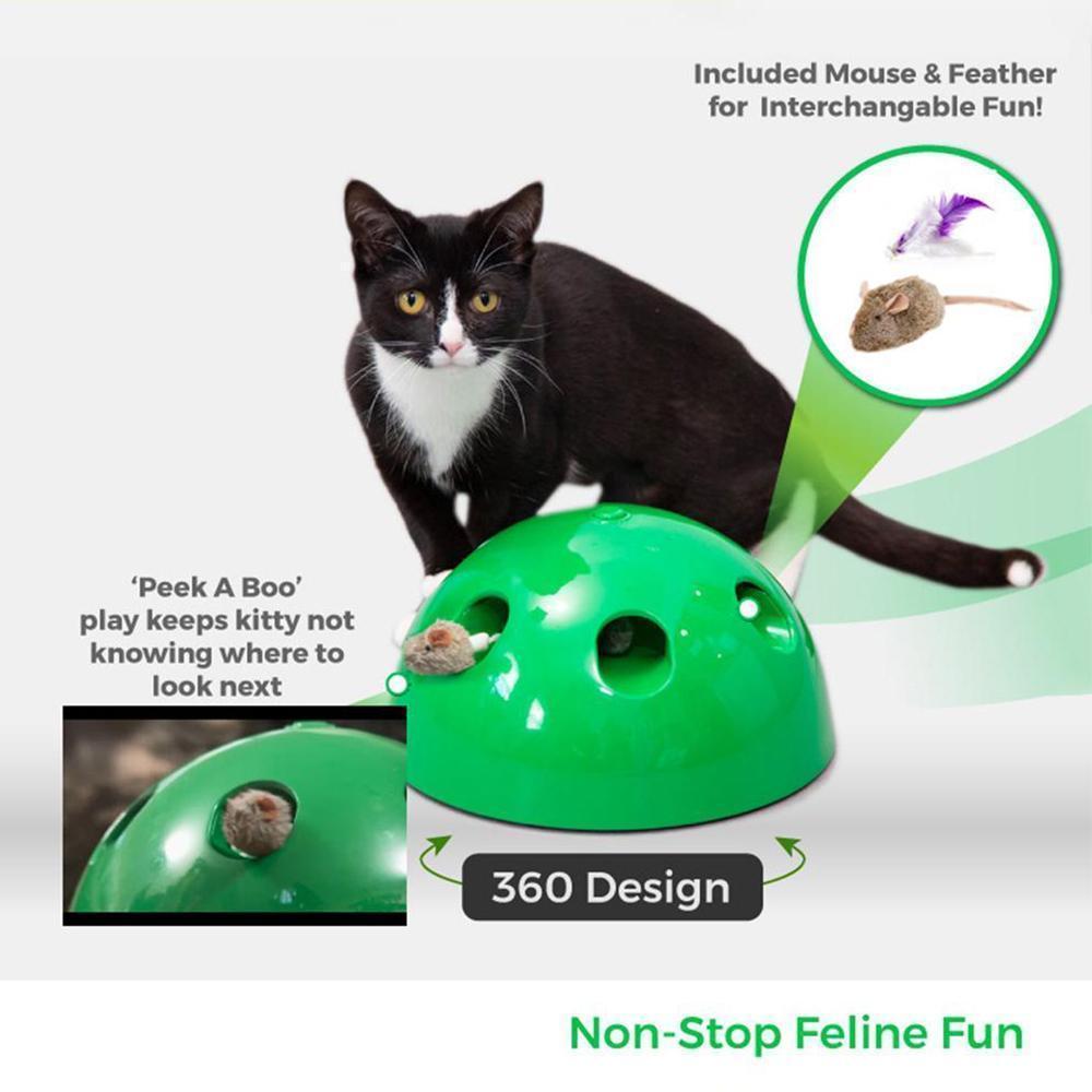 Electric Pet Cat Traning Toy