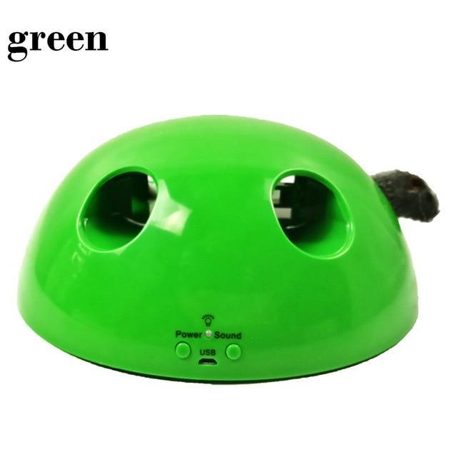 Electric Pet Cat Traning Toy