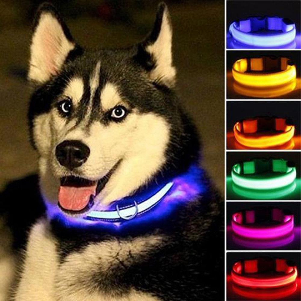 Night-Safety LED Pet Collar