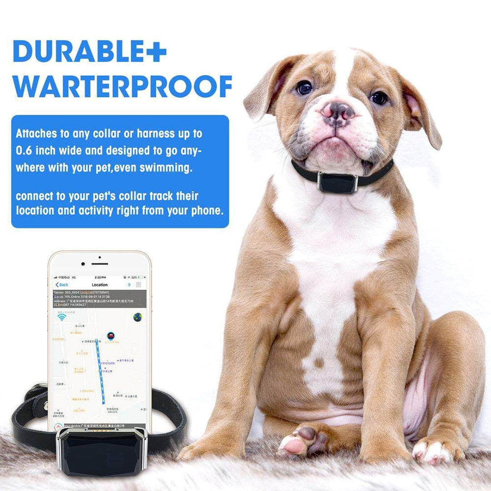 Pet Smart GPS Tracker Collar For Pet Dog Cat Child Phone Anti Lost