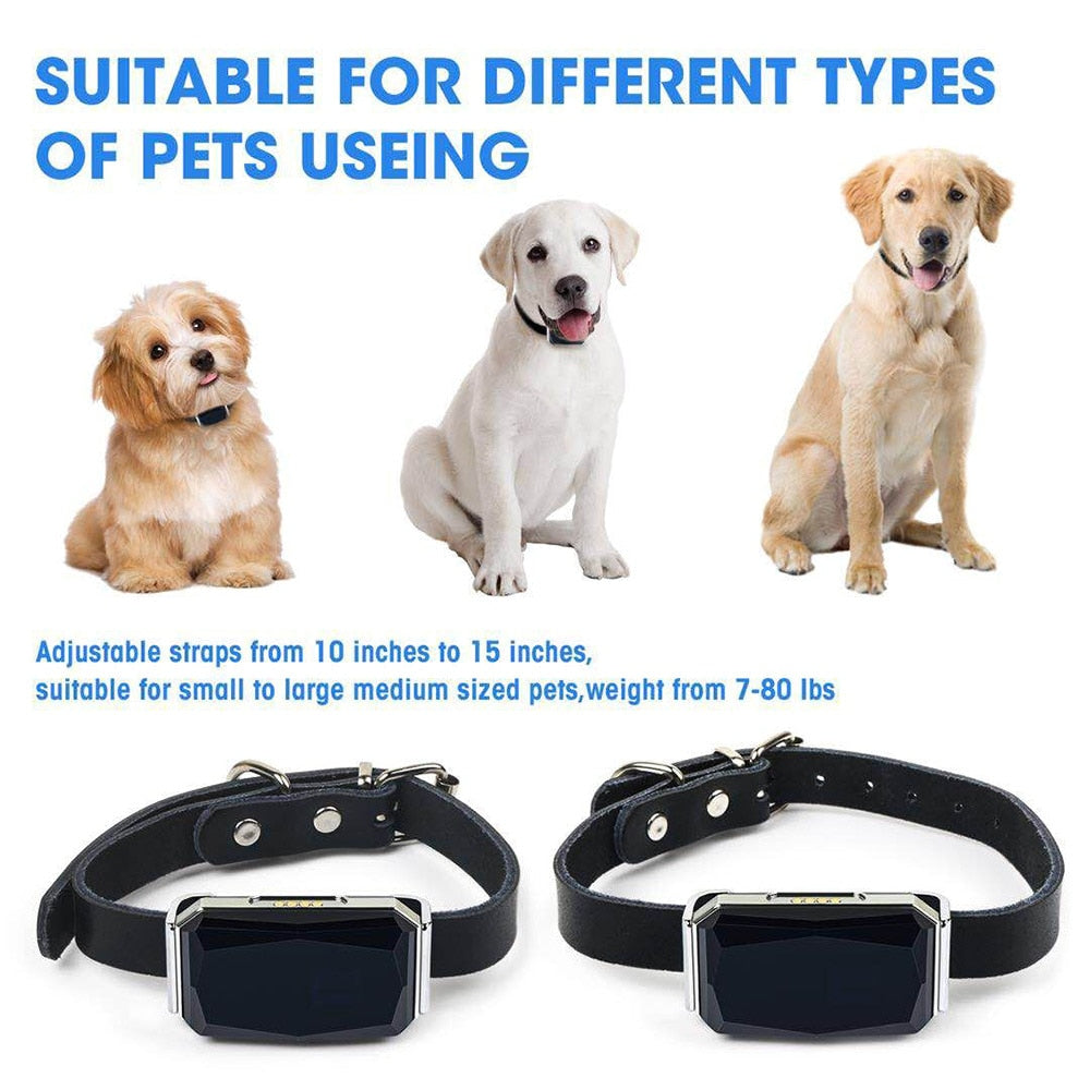 Pet Smart GPS Tracker Collar For Pet Dog Cat Child Phone Anti Lost