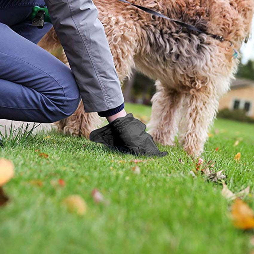 Portable Pet Leash Outdoor