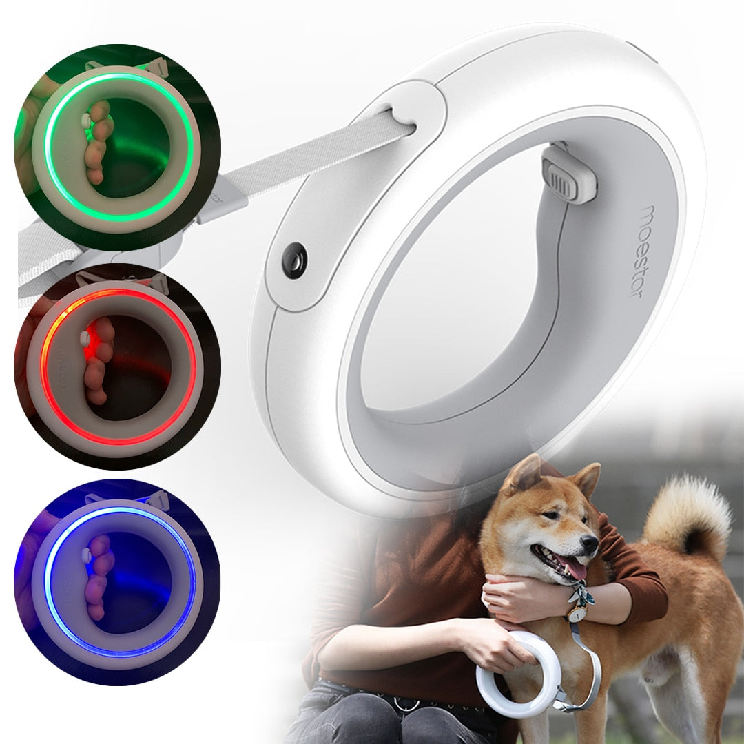 Luminous LED Light Walking Dog Leash