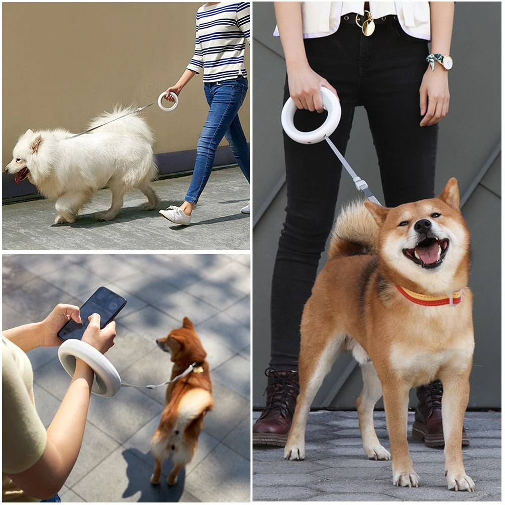 Luminous LED Light Walking Dog Leash